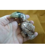 (y-bir-to-403) little tan Toucan tropical bird soapstone carving love to... - $330.40 MXN