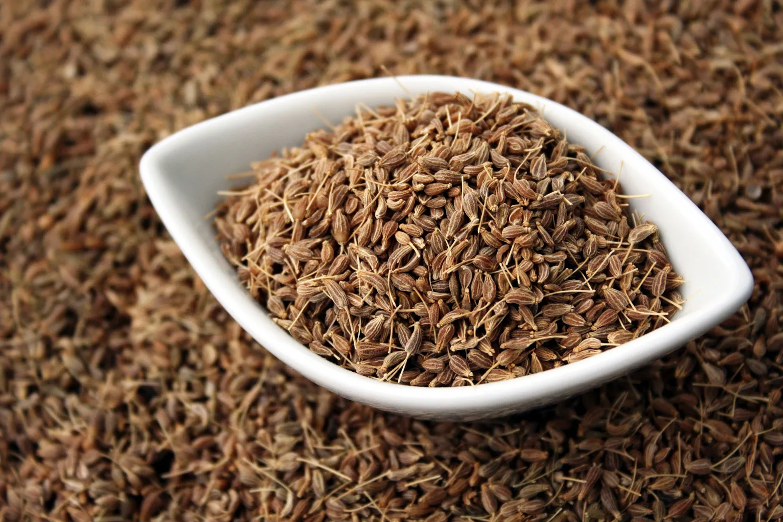 1000 Anise Seeds - Non-GMO, Licorice-Like Herb for Culinary - $6.38