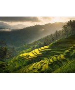 Tropical Paradise: A Vibrant Oil Painting of Rice Terraces - $500.00