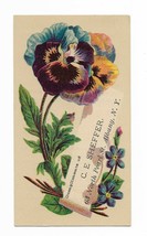 Circa 1900 C.E. Sheffer&#39;s Albany NY trade card pansies lithograph - $19.99