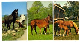 3 Alfred Mainzer Horses  with Foals Postcards - £7.77 GBP