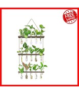 Stylish Wall Terrarium with Wooden Stand - 5 Glass  Tubes for Plant Lovers - $609.43 MXN