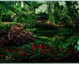 Red Salvia Pink Azaleas Flowers Cypress Gardens Florida UNP Chrome Postc... - $3.91