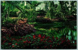 Red Salvia Pink Azaleas Flowers Cypress Gardens Florida UNP Chrome Postcard I8 - £3.05 GBP