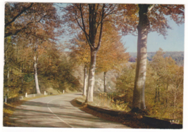 Vtg Postcard-Automne En Limousin-France-Iris-Mexichrome-4x6 Chrome-FR1 - £6.49 GBP