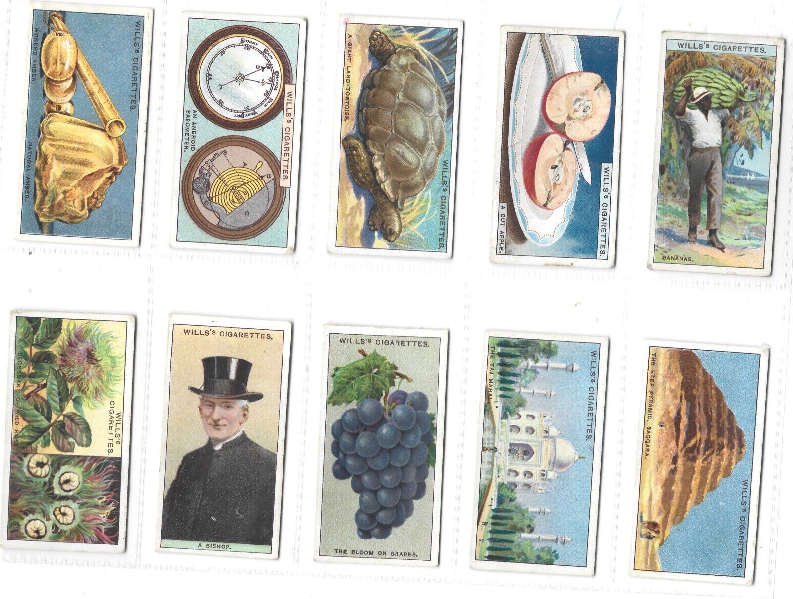 Full 50 Card Set-Do You Know-2nd Series-W.D &amp; H.O. Wills Cigarette Cards - $30.00