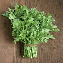 Berynita Store 300 Shungiku Seeds Edible Chrysanthemum Asian Greens Choy Suy-Ton - $10.98