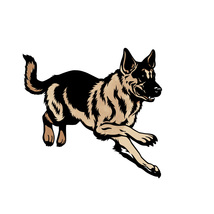 Item image 8