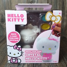 HELLO KITTY Grow &amp; Paint Your Own Crystal Set Art Science Craft Toy Expe... - $13.60