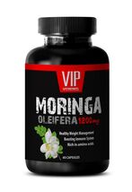 Antioxidants - MORINGA OLEIFERA - Plant protein 1 Bottle 60 Capsules - $14.90
