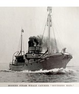 Whaling Ship Southern Maid 1926 Nautical Antique Print Whale Hunting DWW4B - £19.74 GBP