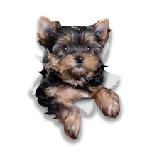 Car Car Stickers Detachable Decals Cute Yorkshire Terrier Car Stickers Waterproo - £73.86 GBP