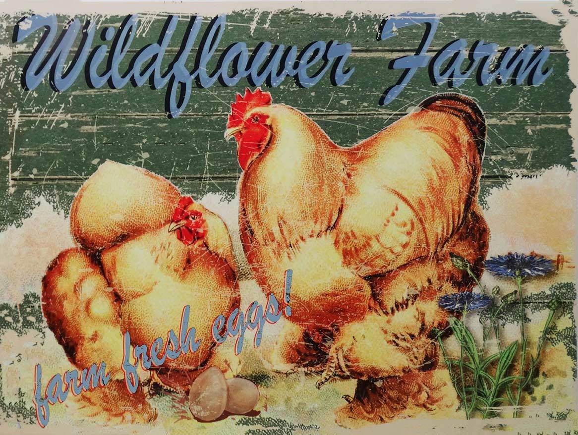 Primary image for Wildflower Farms Fresh Eggs Natural Farm Chicken Country Metal Sign