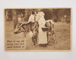 Vintage Farm Cow Couple Postcard Don&#39;t Let Anything Stand Between Us Posted - £7.65 GBP