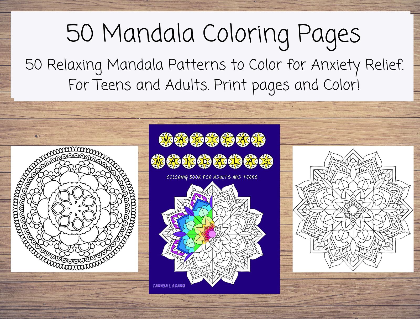 Magical Mandalas Coloring Book for Adults and Teens with 50 Amazing Mand... - $3.00