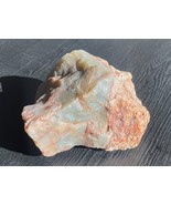 Hampton Butte Petrified Wood Specimen 2 lbs 7 Oz Jasper Agate Gems - €42,59 EUR