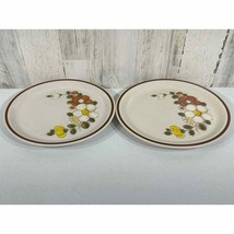 Vintage Woodhaven Collection Stoneware Sunny Brook Dinner Plate Lot of 2 - £6.40 GBP