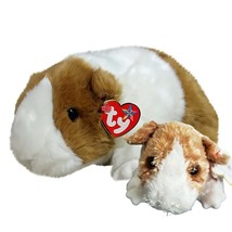 Twitch The Guinea Pig Ty Beanie Baby &amp; Buddy Collectible 2 pcs Mint with... - £35.97 GBP