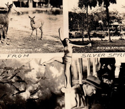 Silver Spring Florida RPPC Dancing Girl Real Photo Postcard Vintage - £7.63 GBP