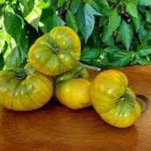 Organic Cherokee Green Tomato - 20 Seeds USA SELLER - $7.98