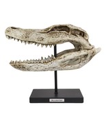 Ebros Faux Taxidermy Alligator Fossil Skull Baring Jaws and Teeth Statue... - $133.09 CAD