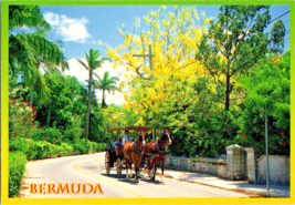 Postcard Bermuda Horse and Buggy Ride Unposted Stamp  6 x 4&quot; - £4.96 GBP