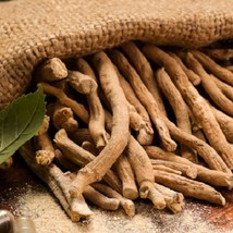 Ashwagandha Indian Ginseng Organic 50 Seeds Culinary Herb Seeds Fresh Seeds From - $14.49