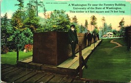 74 Foot Timber Log Forestry Building Washington State University WSU Postcard D9 - £12.27 GBP