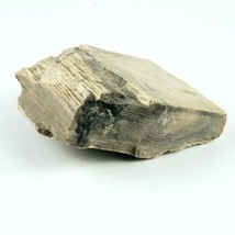 Petrified Wood South Dakota 1 lb 5.6 oz 4” x 4" x 1.4" Wooden Rock Stone Fossil image 2