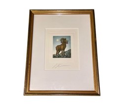 Vintage Big Horn Sheep Painting Signed Volker Kuhn Wall Hanging Frame 13" X 10" image 2