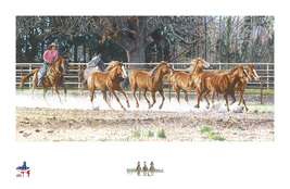 LIMITED EDITION GICLEE PRINT- &quot;AMERICAN COWGIRL #7 - MICHELLE ALLEY - TE... - $235.00