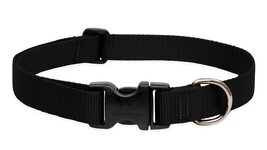 LupinePet Basics 1&quot; Blue 16-28&quot; Adjustable Collar for Large Dogs - $30.59 CAD+