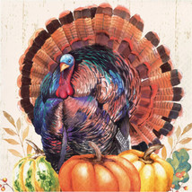 Harvest Turkey 16 Ct Paper Dinner Napkins Thanksgiving 3 Ply - £6.87 GBP