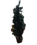 Pre-Lit Christmas Tree - 40 Inches High - $15.35