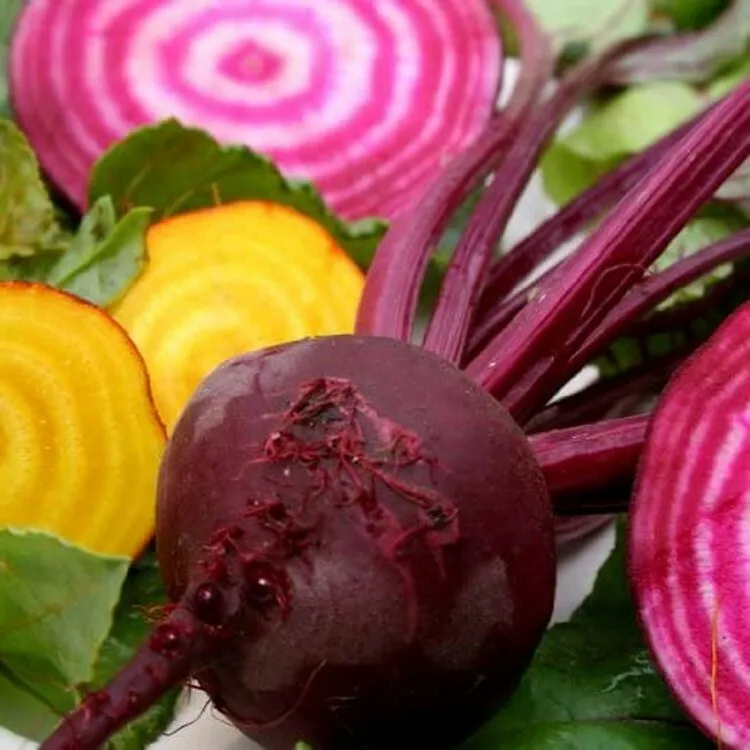2 Grams Seeds Chioggia Organic Beet Nutritious Delicious Roasted Steamed... - $19.90