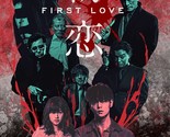 First Love DVD | A Takashi Miike Film | Japanese w/ English Subtitles | ... - $21.36