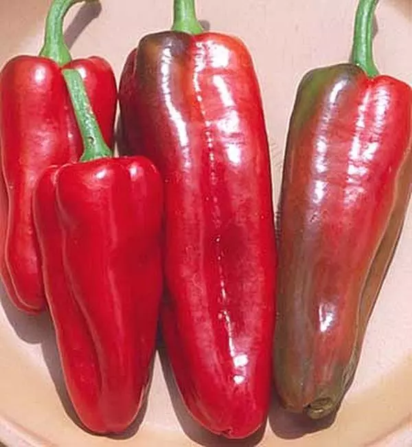 20 Pepper Seed - Sweet Marconi Italian Red Seeds - £17.30 GBP