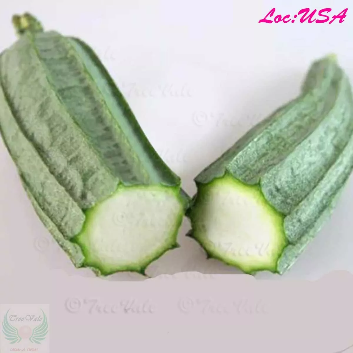 Ridged Sponge Gourd Seeds -Chinese Okra Angled Luffa Gourd Big Flesh-Sig... - $6.99
