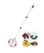 Nut Gatherer Rolling Fruit Collector With Telescopic Handle For Golf Bal... - £42.31 GBP