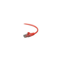 Belkin - Cables A3L980-01-RED-S 1FT CAT6 Red Utp Snagless RJ45 M/M Patch Cable - £15.25 GBP