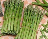 100 Seeds Asparagus Seeds Uc 157 F2 Organic Non Gmo Fresh Fast Shipping - $8.99