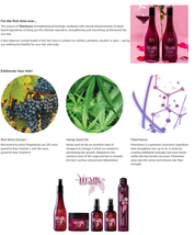 Agadir Hemp & Red Wine Shampoo, Liter image 3