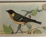 Bay Breasted Warbler Victorian Trade Card Arm And Hammer VTC 5 - £5.44 GBP