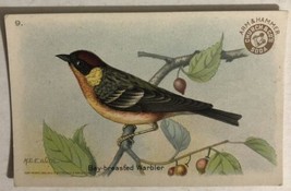 Bay Breasted Warbler Victorian Trade Card Arm And Hammer VTC 5 - £5.43 GBP