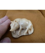tb-pig-7 little tan pig laying down Tagua NUT palm figurine Bali Piglet ... - $781.75 MXN