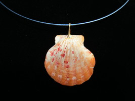 Shell necklace - $7.49