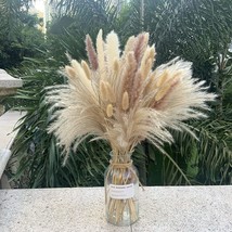 Pampas Grass 80 pcs 17.5 inch Natural Dried Pampas Grass - 15Pcs White Pampas &amp;  - £19.18 GBP