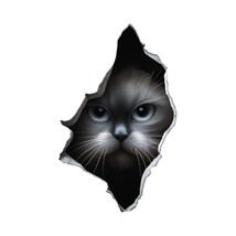 Grey Cat Peeking Through Hole in Wall - Wall Decal High Quality Removable Vinyl - $5.95