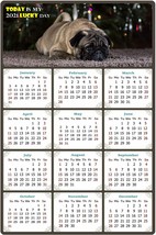 2022 Magnetic Calendar - Today is My Lucky Day - Dogs Themed 02 (7 x 10.5) - £7.90 GBP