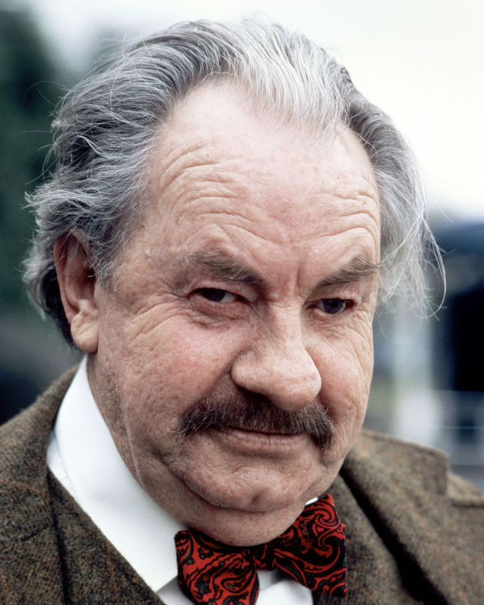 Primary image for  Rumpole of The Bailey Leo Mckern 16x20 Canvas Giclee